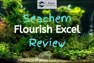 Seachem Flourish Excel Review