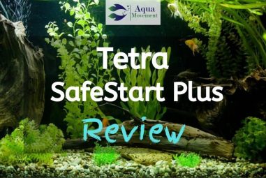 Tetra SafeStart Plus Review