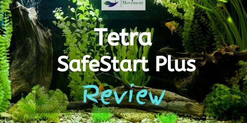 Tetra SafeStart Plus Review