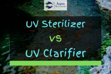 UV Clarifier vs UV Sterilizer – A Comparison