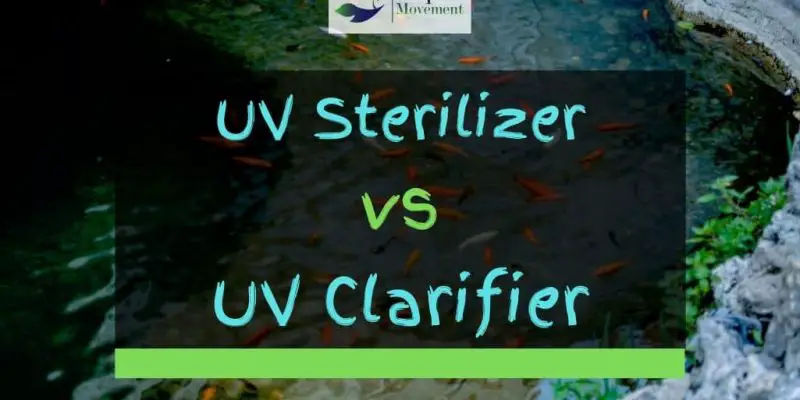 UV Clarifier vs UV Sterilizer – A Comparison