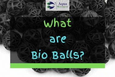 What Are Bio Balls? – Top 5 Questions Answered