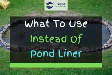 What To Use Instead Of Pond Liner? Top 7 Alternatives